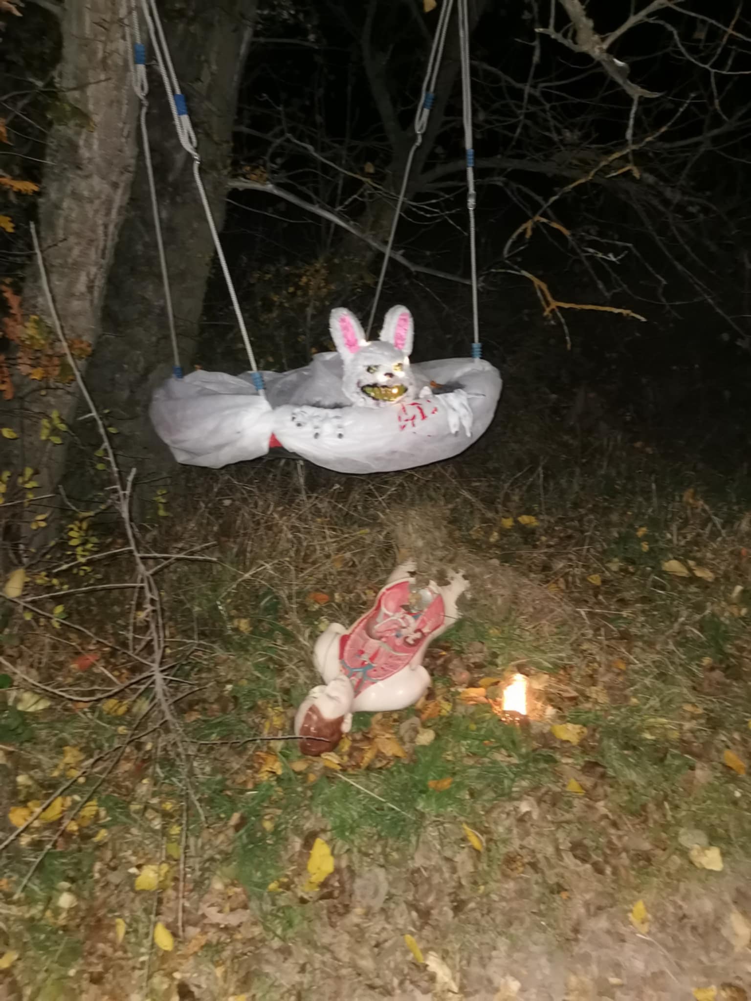 465718275_10221975313207050_8251554957999382693_n