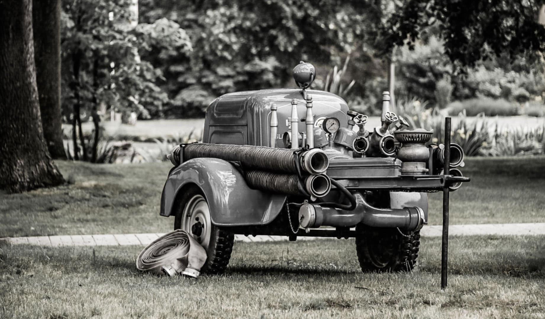 81c1856b-1f63-4e88-951c-f5e91e3f5aa0.jfif