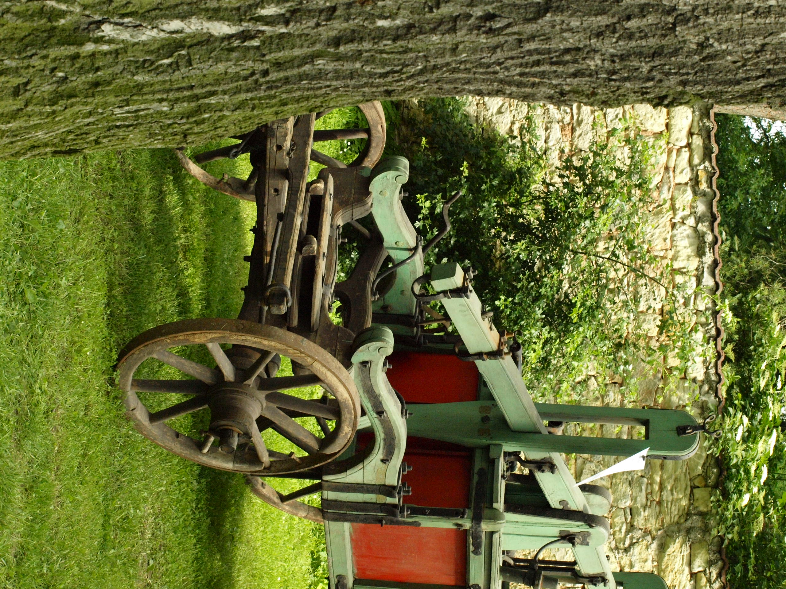 P6297487