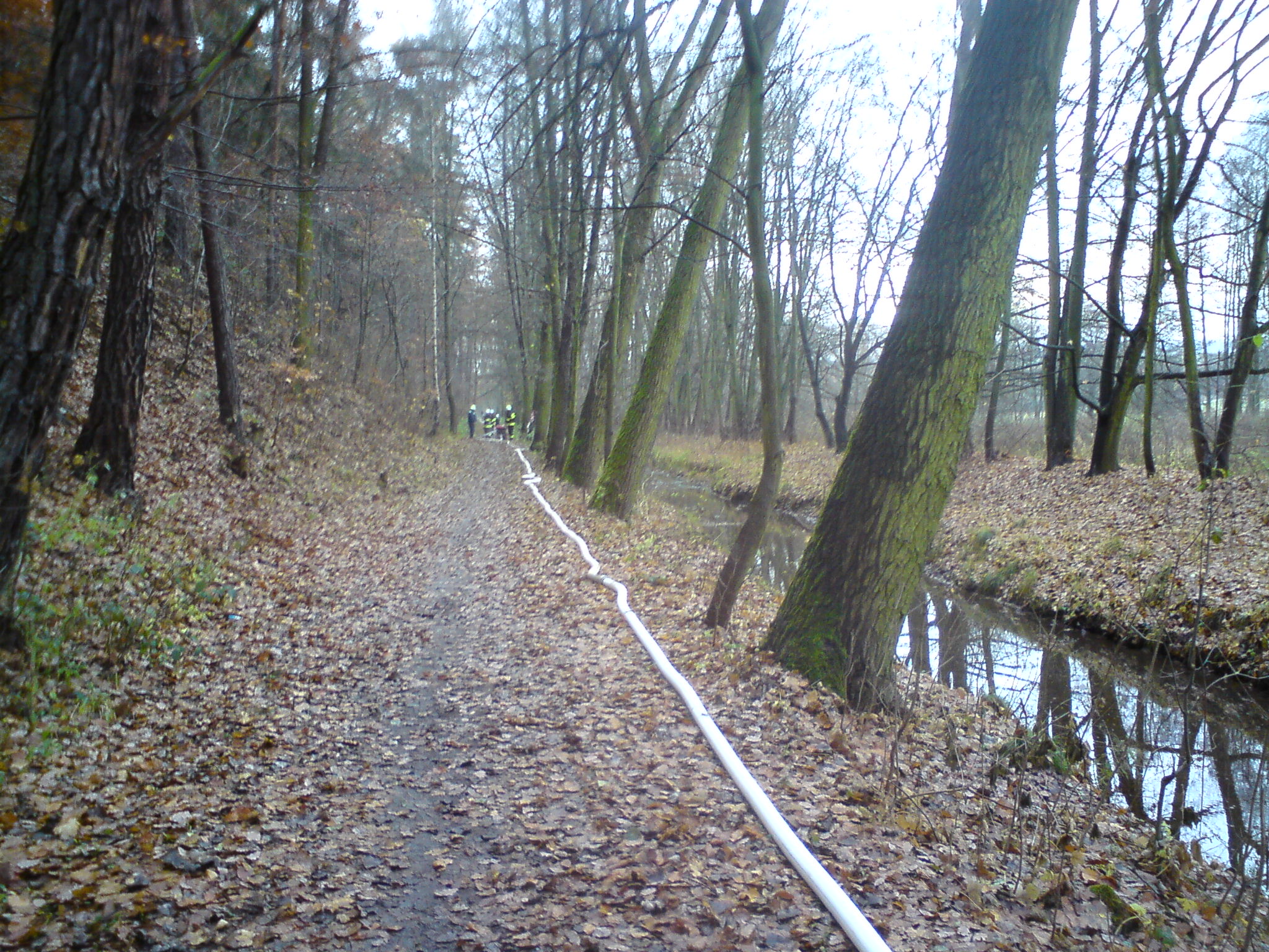 DSC00246.JPG