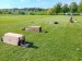 495022407_10223383153482177_1397951215344534212_n